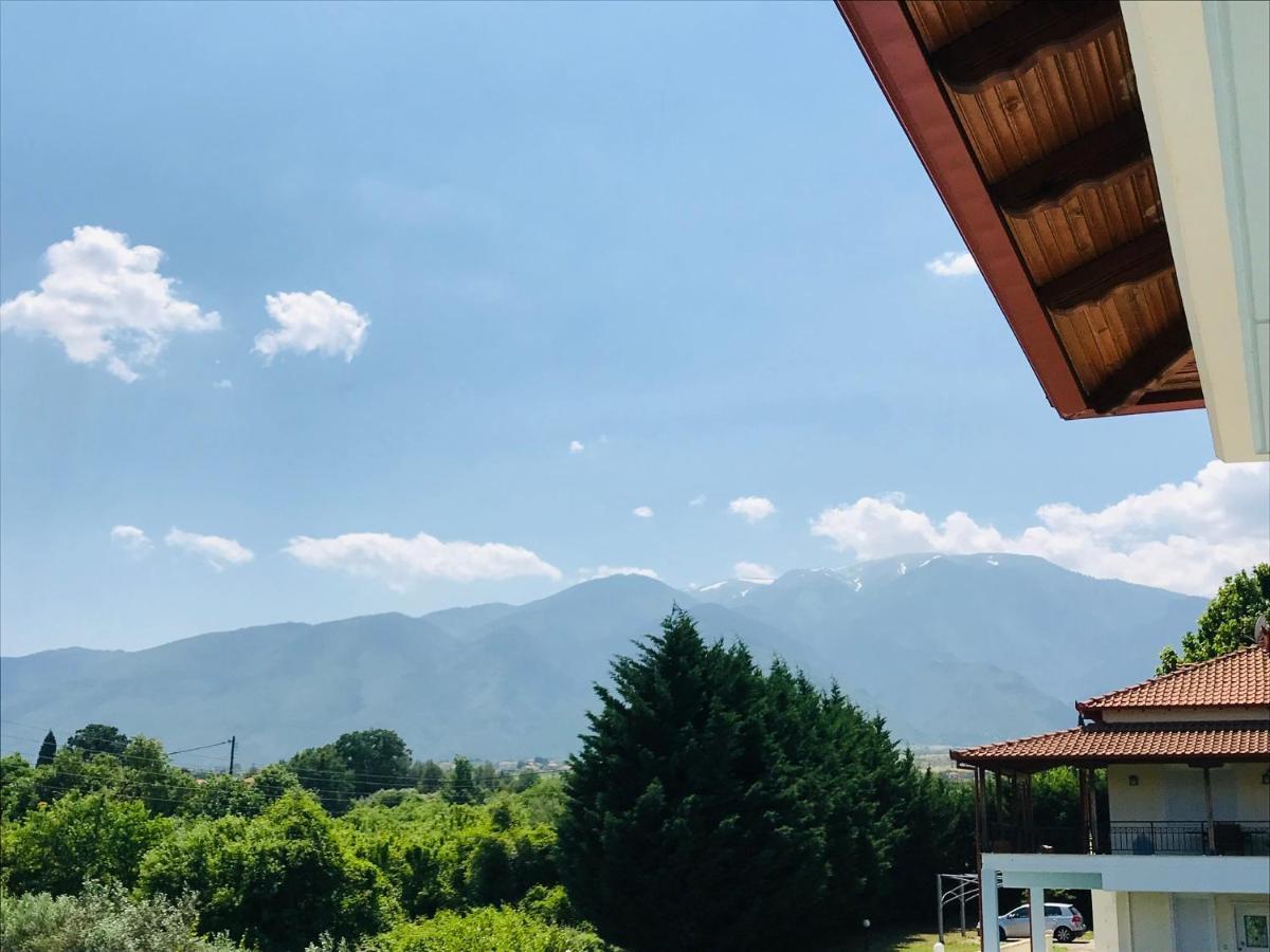 Dimeli 1 Apartment Плака Литохору Екстериор снимка